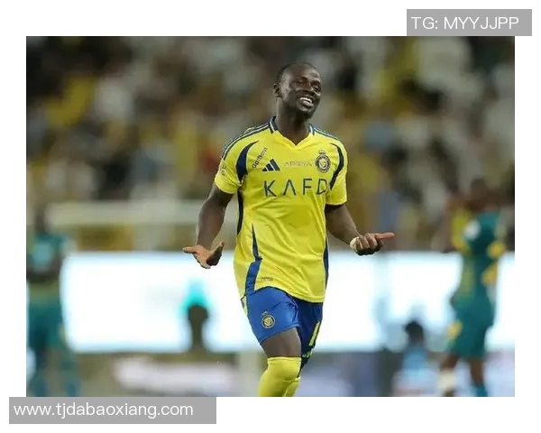 足球明星中姓卢的球员有哪些他们的成就与影响力分析