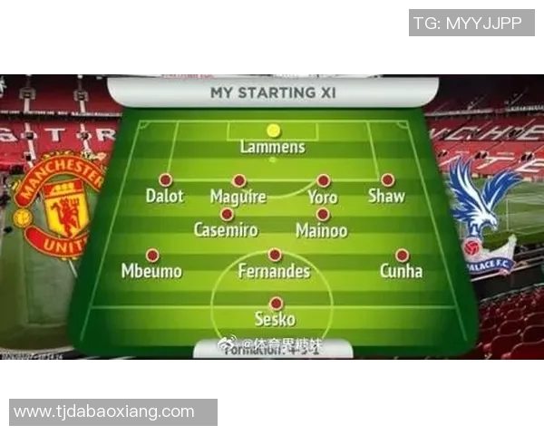 水晶宫与曼联对决前瞻分析及比赛结果预测