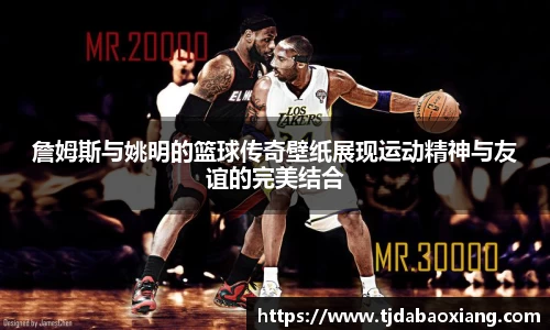 詹姆斯与姚明的篮球传奇壁纸展现运动精神与友谊的完美结合