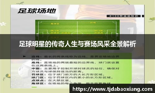 足球明星的传奇人生与赛场风采全景解析
