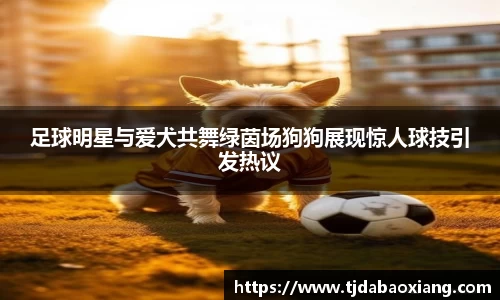 足球明星与爱犬共舞绿茵场狗狗展现惊人球技引发热议